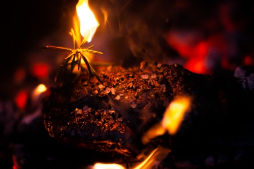 Steak in glühender Kohle mit brennendem Rosmarin, Salz und Pfeffer